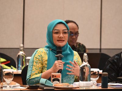 Anggota Komisi X DPR RI Fraksi Partai Golkar, Adde Rosi